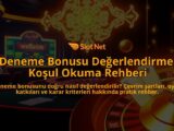 Deneme-Bonusu-Degerlendirme-Kosul-Okuma-Rehberi-overlay-1788166632.jpg